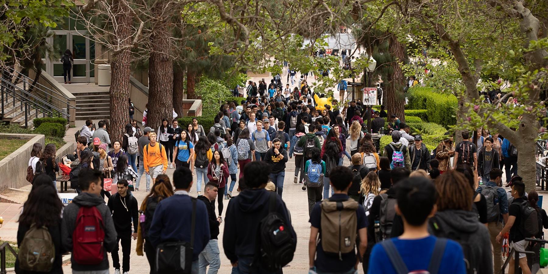 Bruins walking on bruin walk